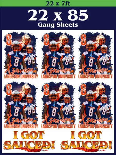 22 x 85 gang sheets